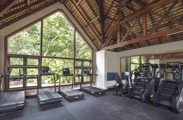 Gyms