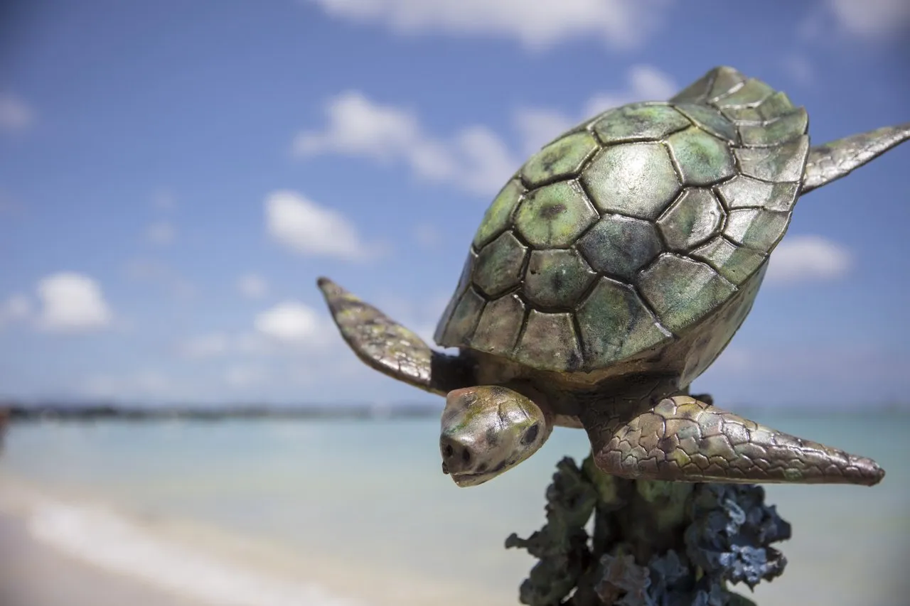 Turtles
